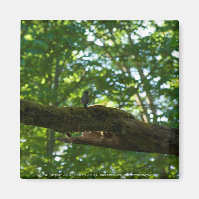 Skogsomvältning Magnet (Framsidan)