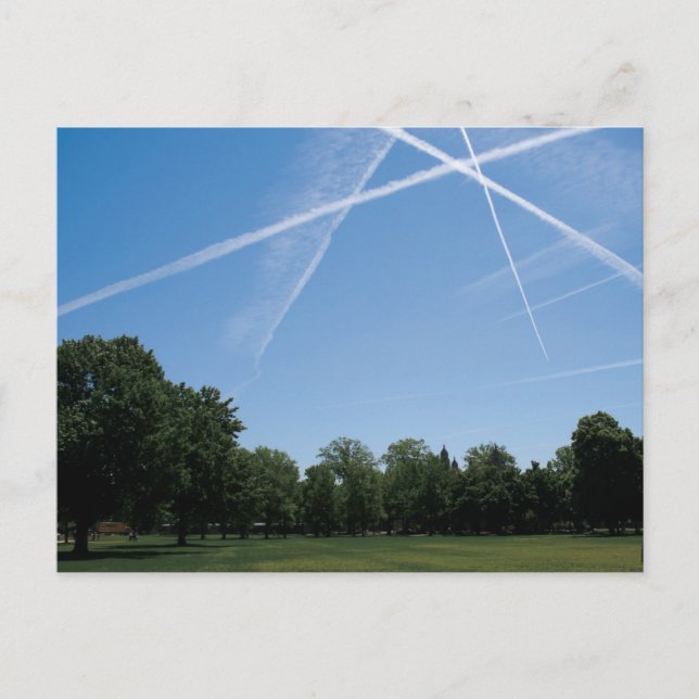 Skogspark Vykort (Framsida)