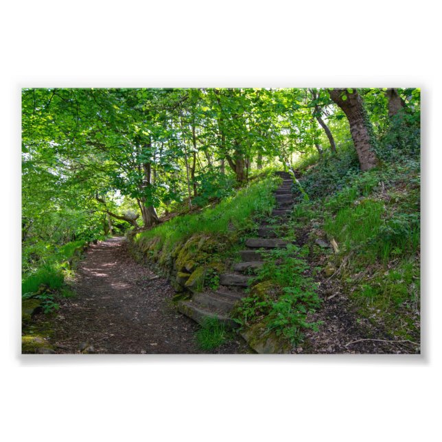 Skogspromenad i Allan Park Sowerby Bridge Fototryck (Framsidan)