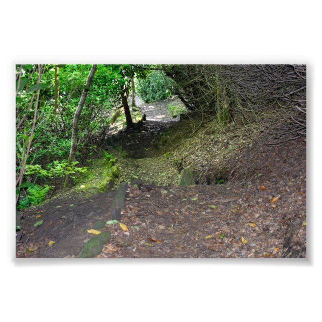 Skogspromenad i Allan Park Sowerby Bridge Fototryck (Framsidan)