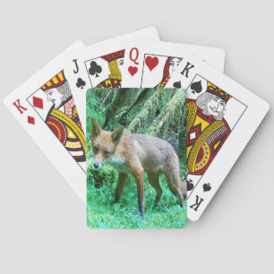 Skogsrävunge Skogsmossa Grön Natur Vilda Djur Casinokort
