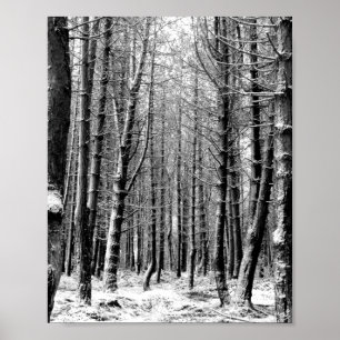 Skogsskog från Winter snö Poster