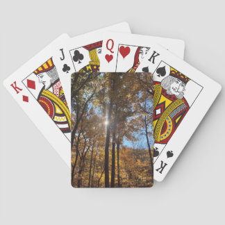 Skogssolspelkort Casinokort
