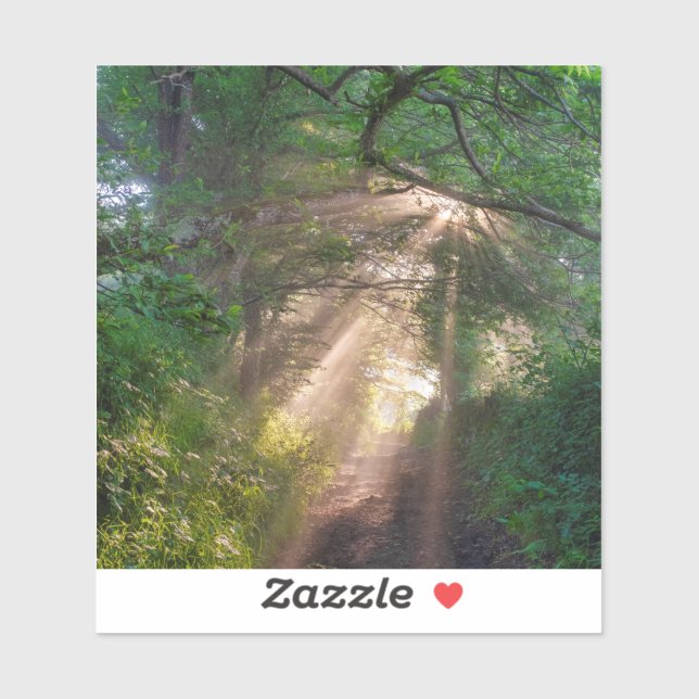 Skogsspår Klistermärken (Ark)