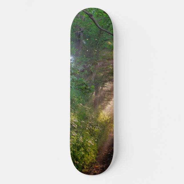 Skogsspår Mini Skateboard Bräda 18,5 Cm (Framsida)
