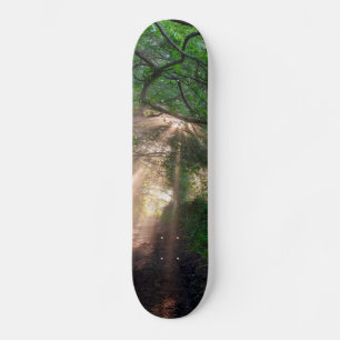 Skogsspår Mini Skateboard Bräda 18,5 Cm