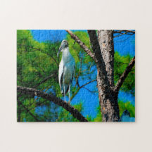 Skogsstork Florida