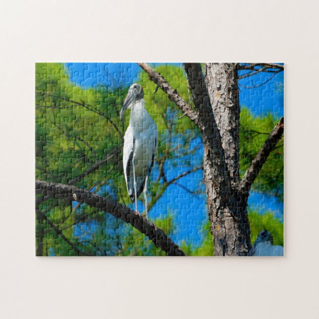 Skogsstork Florida Pussel (Horisontell)