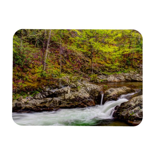 Skogsström i Great Smoky Mountains Magnet (Horisontell)