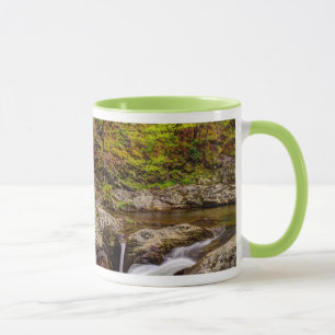 Skogsström i Great Smoky Mountains Mugg