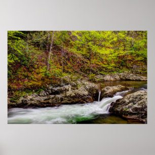 Skogsström i Great Smoky Mountains Poster