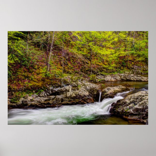 Skogsström i Great Smoky Mountains Poster (Framsidan)