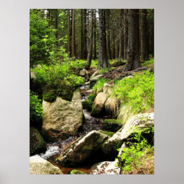 skogsström poster