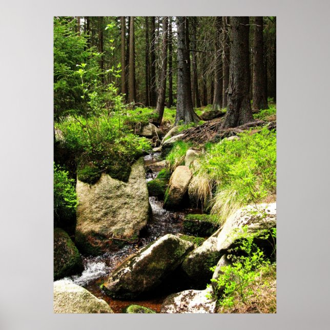 skogsström poster (Framsidan)