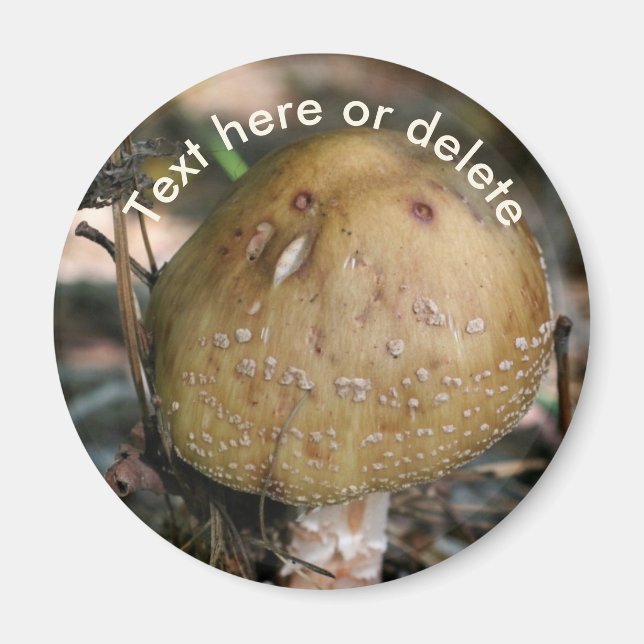 Skogssvamp Natur Personlig Magnet (Framsidan)