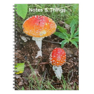 SkogsSvamp Notisbok Anteckningsbok