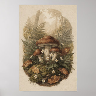 Skogssvamp Skogs Botanisk Ferns Poster