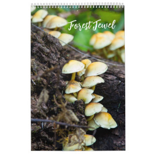 Skogssvampkalender Kalender