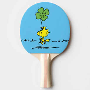 Skogstall med Shamrock Pingisracket