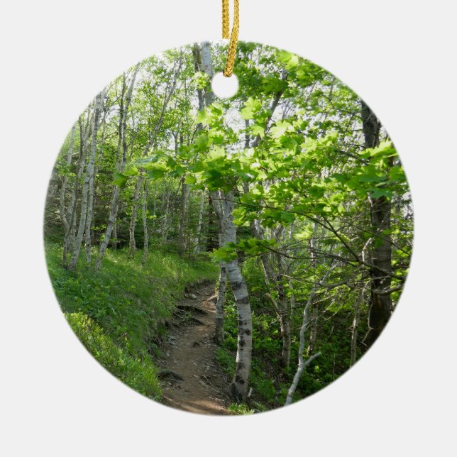 Skogstig vid Acadia National Park Julgransprydnad Keramik (Framsidan)