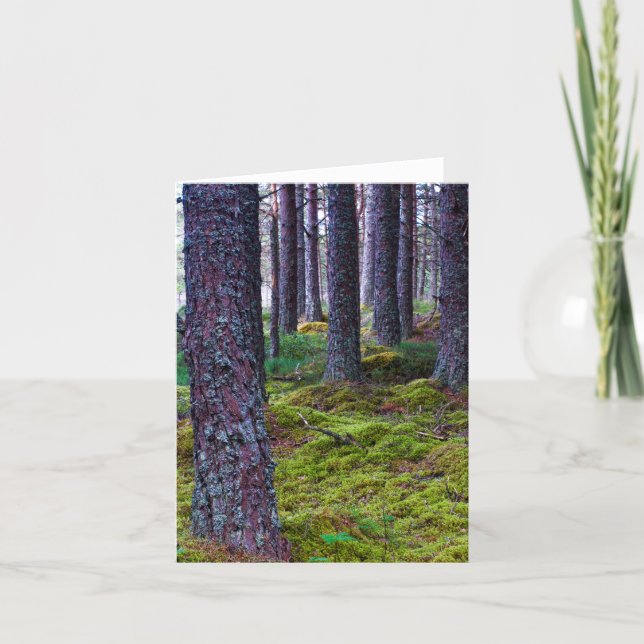 Skogsträd Julkort Kort (Framsida)