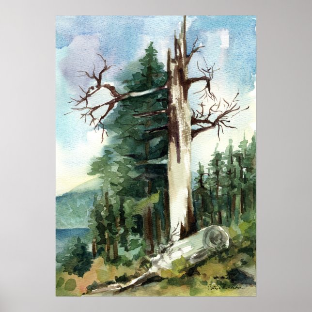 Skogsträd Vandringsslinga Bergvy Poster (Framsidan)
