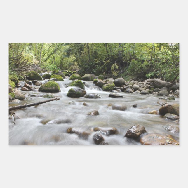 Skogstram-klistermärken Rektangulärt Klistermärke (Framsida)