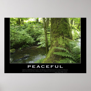 SKOGSTREAM Nature Photo Poster Skriv ut