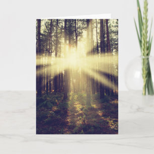 SkogSunbeams Kort