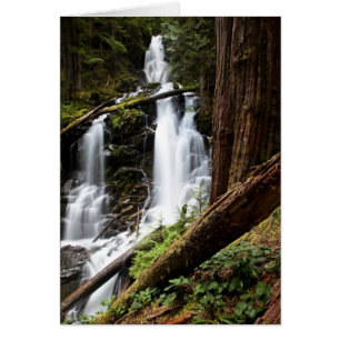 Skogsvaktare Falls Hälsningskort