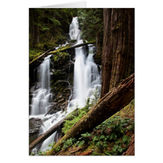 Skogsvaktare Falls Hälsningskort