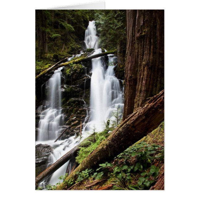 Skogsvaktare Falls Hälsningskort (Framsidan)