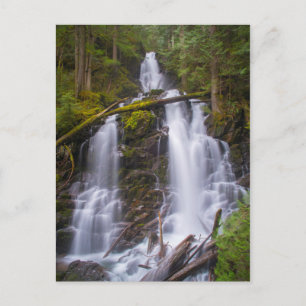 Skogsvaktare Falls, Mt. Rainer National Park Vykort