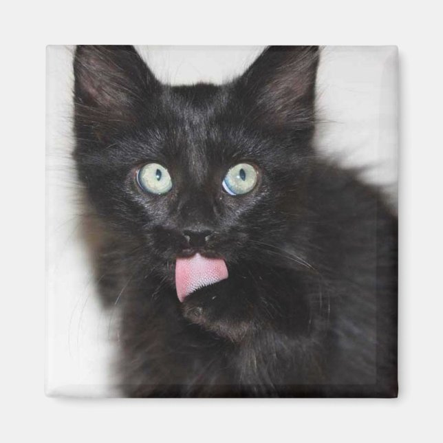 Skogsvaktare Kitten Städning Tass Magnet (Framsidan)