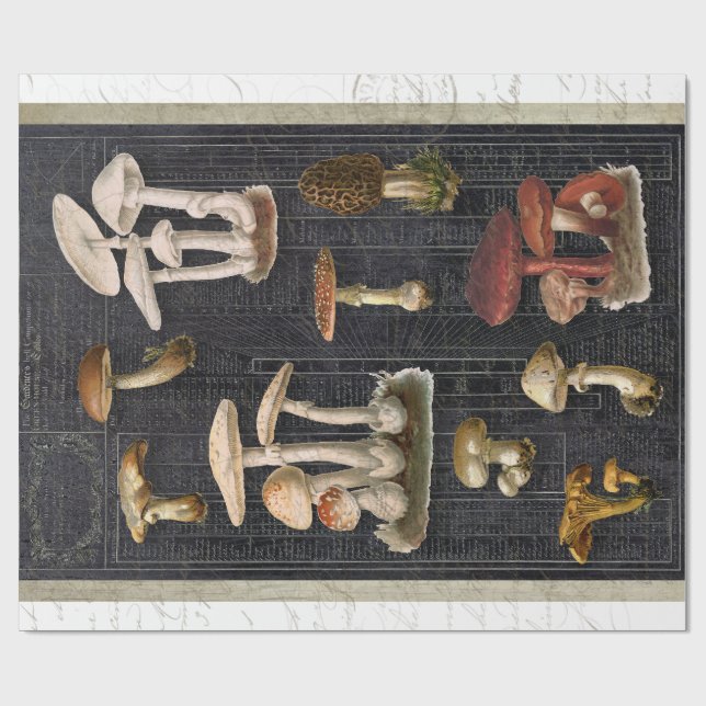 Skogsvampar Cottage Ephemera Black Decoupage Presentpapper (Platt)