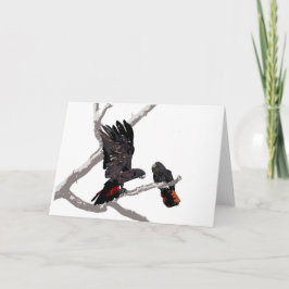 Skogsvansad svart Cockatoo Kort