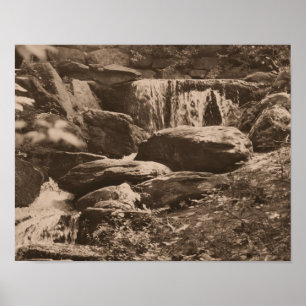 Skogsvatten i Sepia Brown Poster