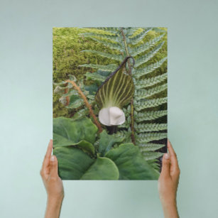 Skogsväxter botaniskt fotografi canvastryck