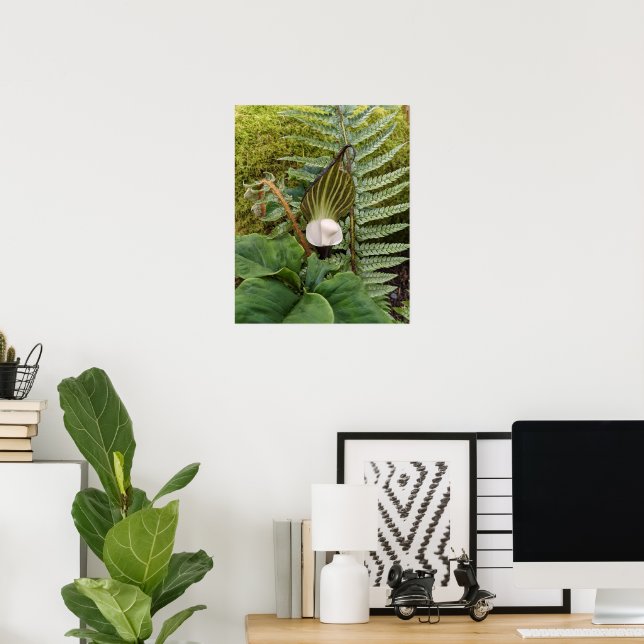 Skogsväxter botaniskt fotografi poster (Hemmakontoret)