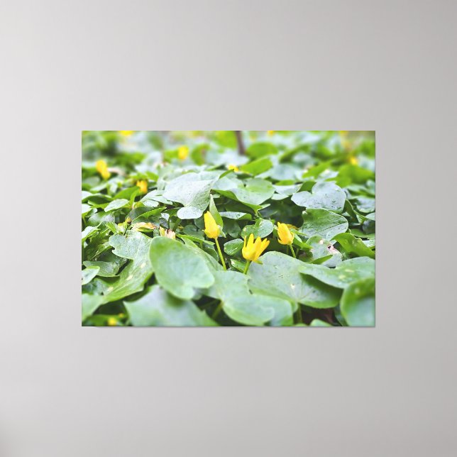 Skogsvilda blommor – botanisk naturfotografering canvastryck (Framsida)