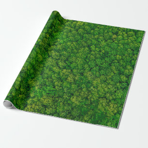 Skogsvy ovanifrån, ovansida vid sida med kopia presentpapper