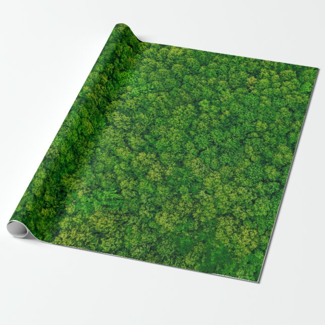 Skogsvy ovanifrån, ovansida vid sida med kopia  presentpapper (Utrullad)