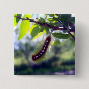 Skogtält Caterpillar 1 knäppas Knapp