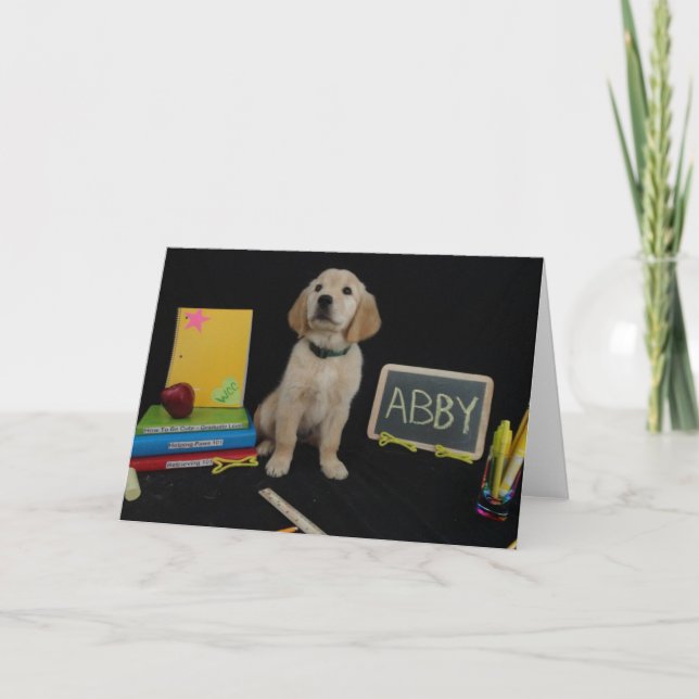 Skola Abby Kort (Framsida)