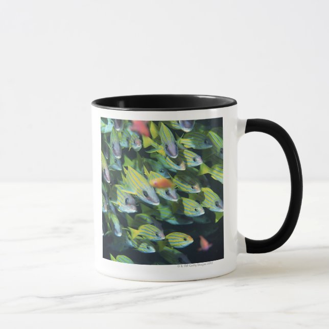 Skola av fisk 7 mugg (Höger)