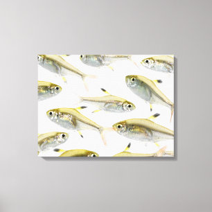 Skola av X-ray den tetra fisken (Pristella Canvastryck