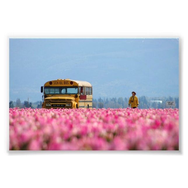 Skola Buss, Magic Buss. Fototryck (Framsidan)