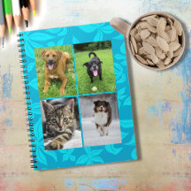 Skola Fyra Foto Blå Blommor Klassrum