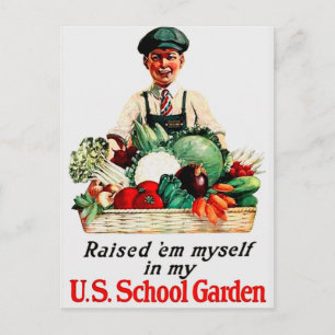 Skola Garden Vykort