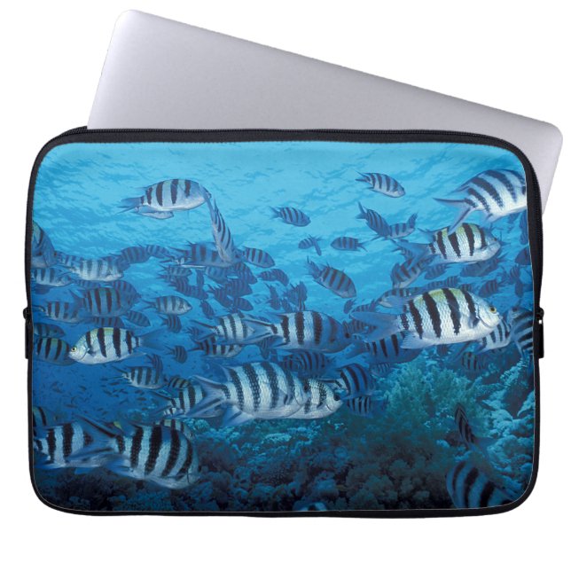 Skola i stripe Fish Laptop sleeve (Framsidan)